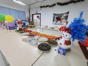 “多國風采、別具風格”的的圣誕節活動